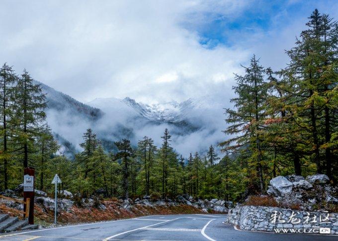 双百行动是哪双百?-解决你的疑问