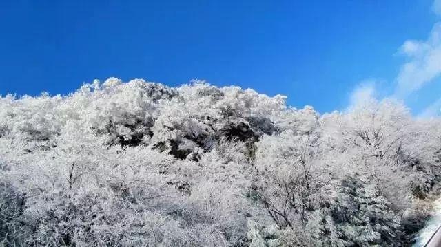 为什么不能逼孩子把饭吃光光游戏画面