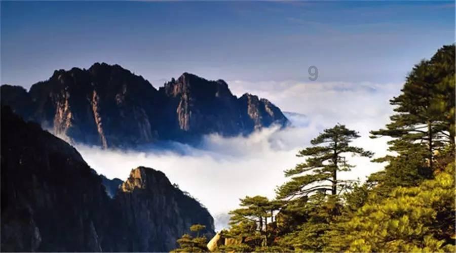 what+are+you+doing(练功夫)怎么回答?游戏画面