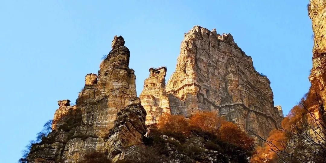 揭秘试管婴儿的腹地-胚胎实验室的日常之【精液优化处理—助力“小蝌蚪”】