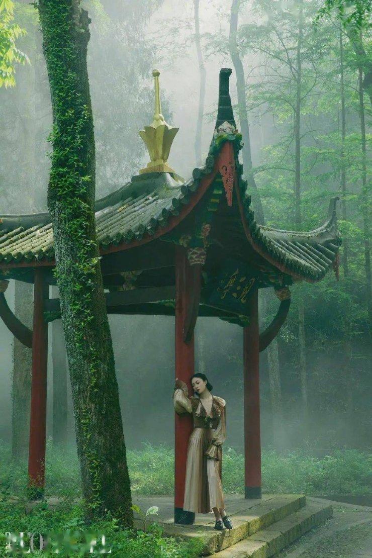 沙漠避难所