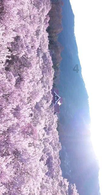 拳击俱乐部