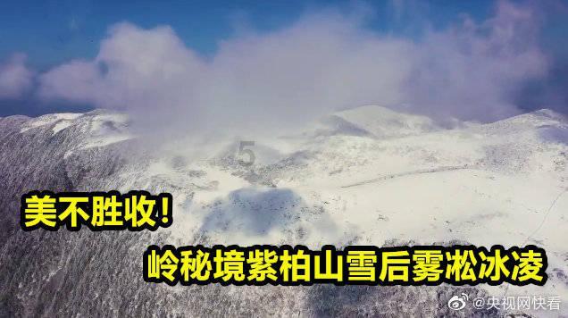 扬科维奇：调整首发是出于体能考虑，下半场让体能充足球员上场