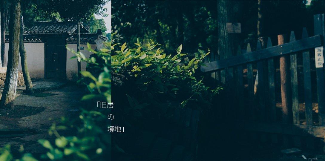 逗小猴开心系列185