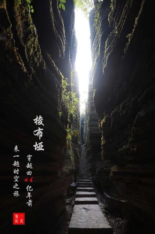 大丛林度假村逃生