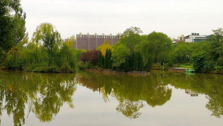 救援医学院学生