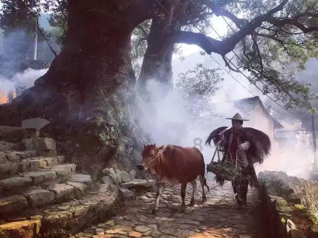 美颜相机排名第一的
