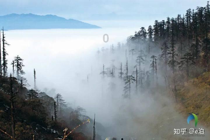 苹果ID贷以库克回租为名非法放贷,暴力催收,警方破获1.3亿元苹果ID贷非法经营案