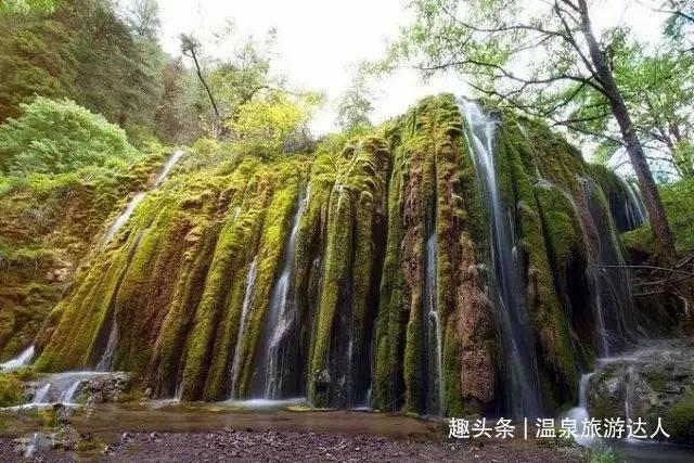 受困的西红柿