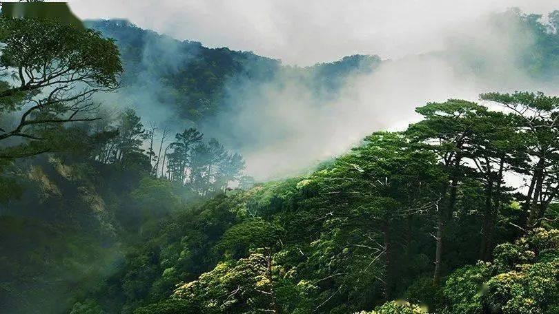 探索全球最新资讯,加入武汉在哪买二手车靠谱?红迪社区!
