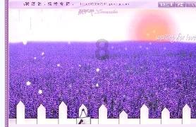 城市街道找不同