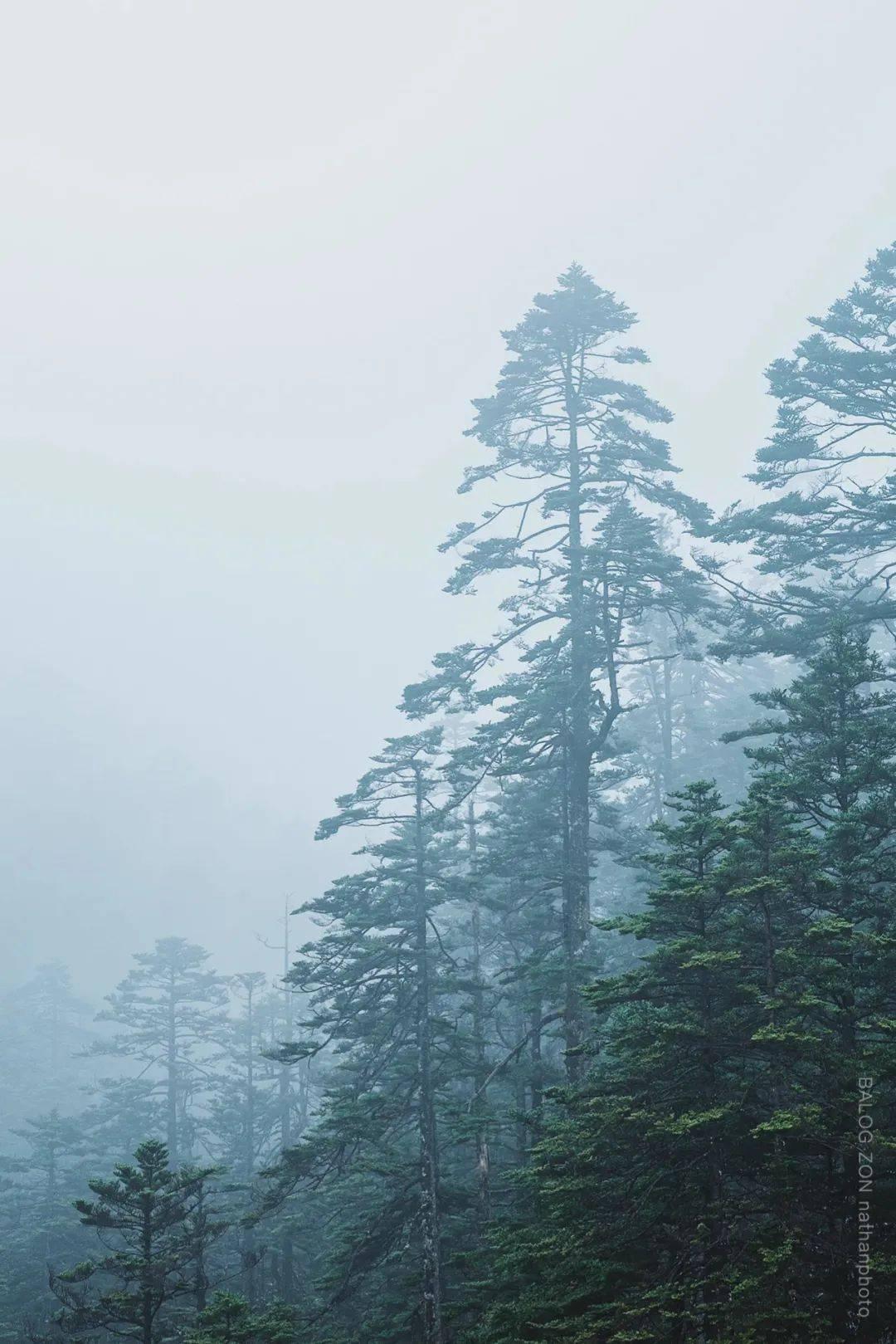 疯狂方块圣诞节