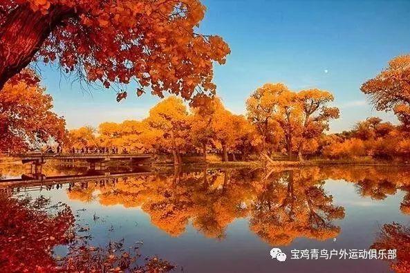鲜活土特产 吸引八方客
