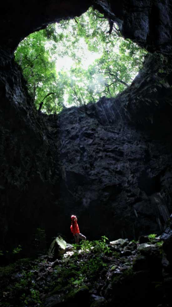 生态优助力秦岭山村产业兴