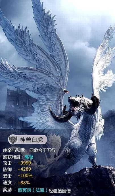 苏菲亚的休闲装