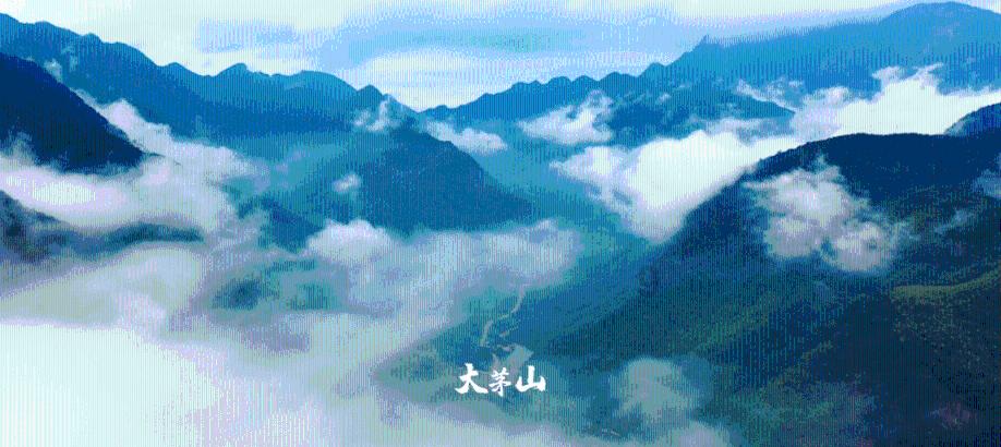 陈思诚不甘平庸，玄机十足的《误杀3》海报惊艳亮相