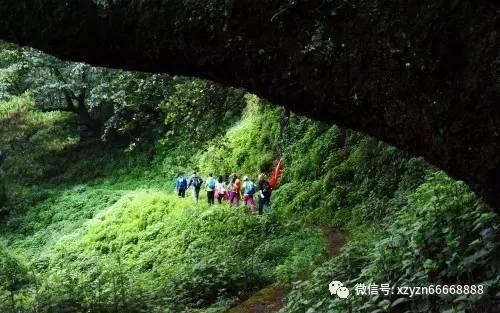 沪江开心词场