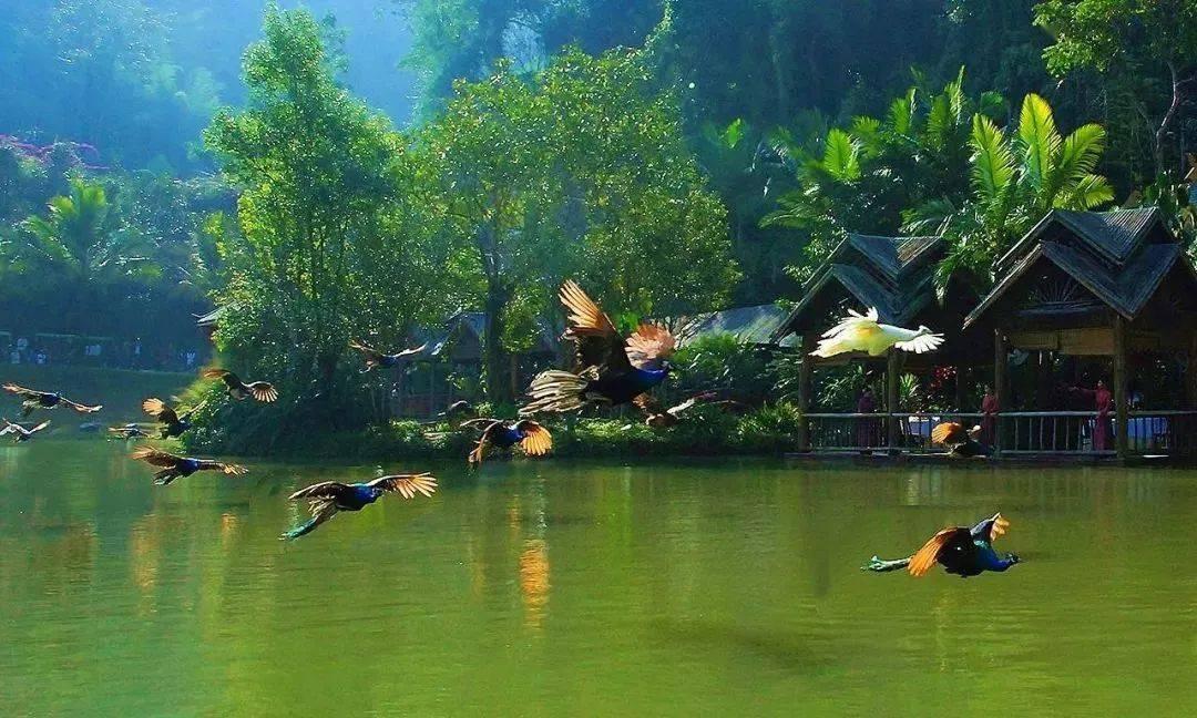 上古世纪