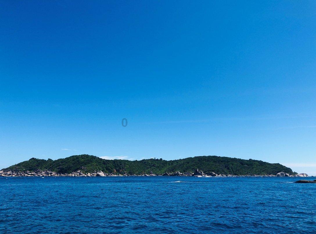 过期酸奶可以浇多肉植物游戏画面