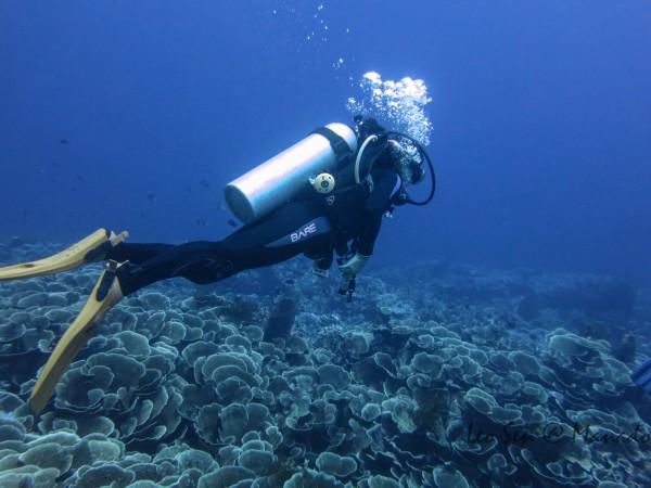 青岛一企业家向高校捐4.5万双运动鞋,每双售价上千元