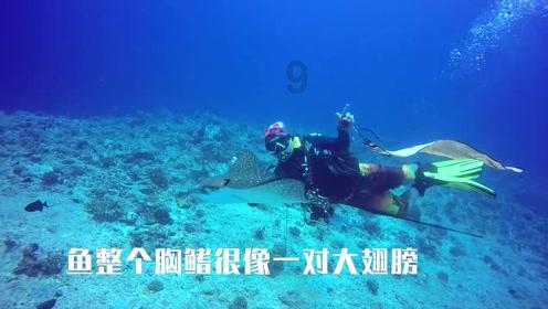 老公40岁，突发脑溢血住院，婆婆要我卖房救人，我却要求放弃治疗