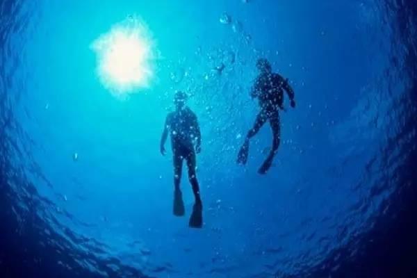 【医讯动态】 | 1月29日-2月2日，大咖专家坐诊市三院！速约……