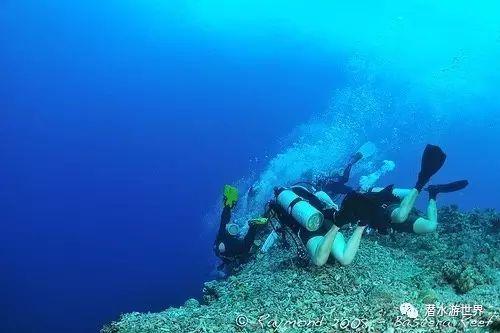 森迪公主夏日度假