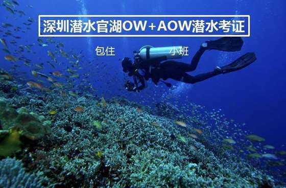 泡沫森林