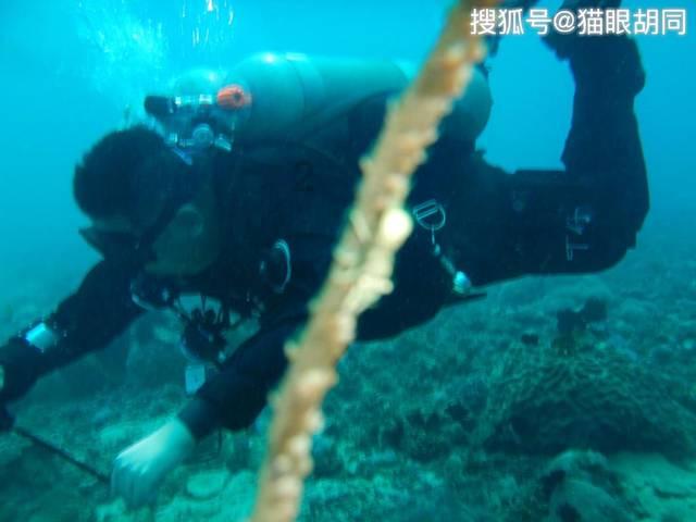探寻学校里打架怎么处罚?热门话题,尽在学校里打架怎么处罚?红迪网