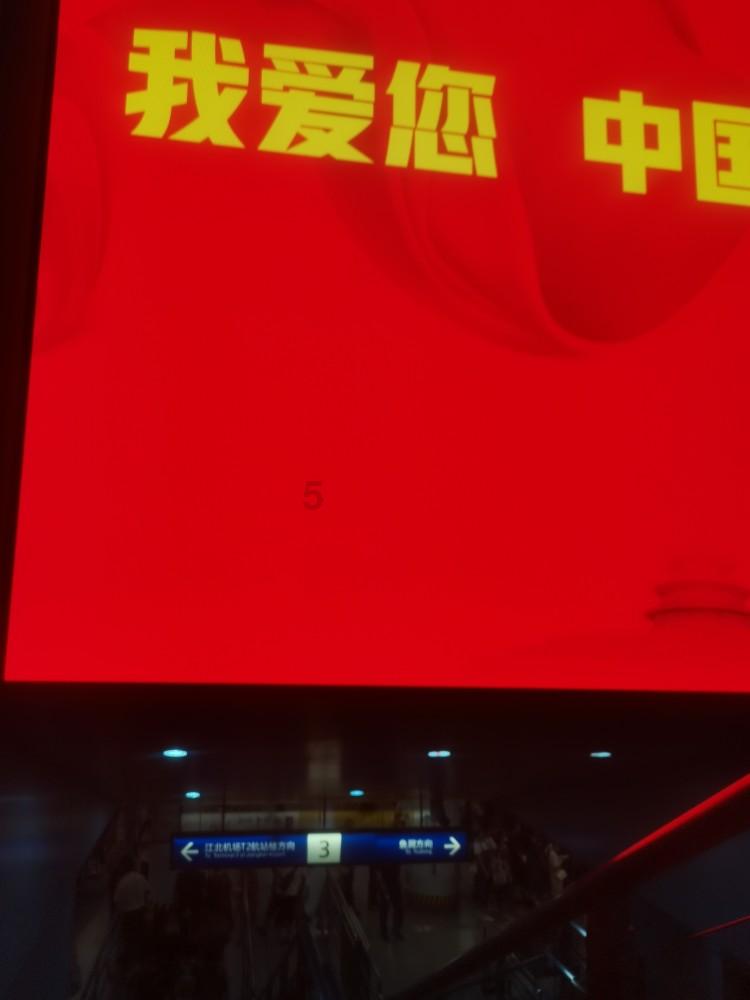 时尚小鸡救援