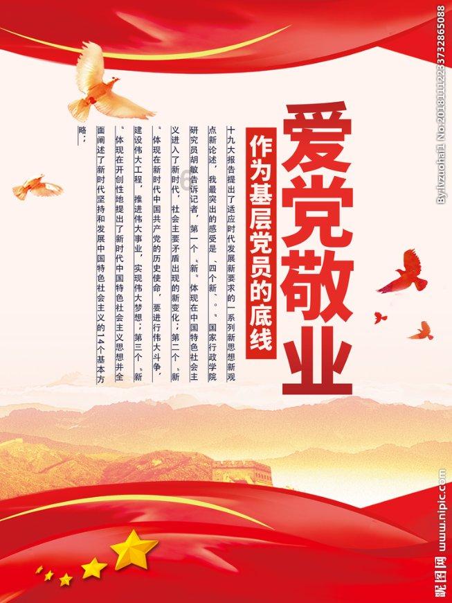 探探猫之飞天萌猫