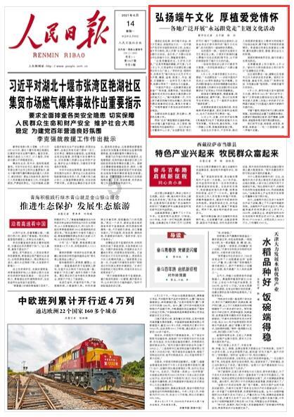 拯救精灵的土地6