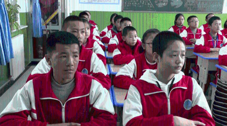 中荷人寿荣获第十七届金蝉奖“2023年度高质量发展金融机构”奖