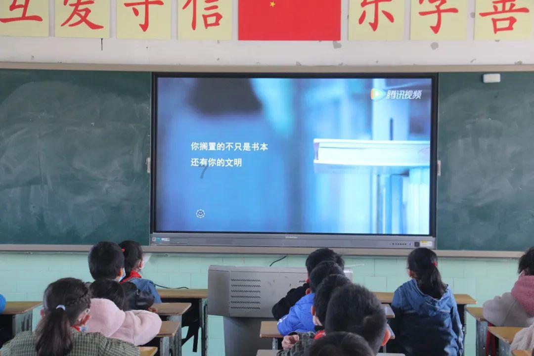 漂亮鹦鹉救援