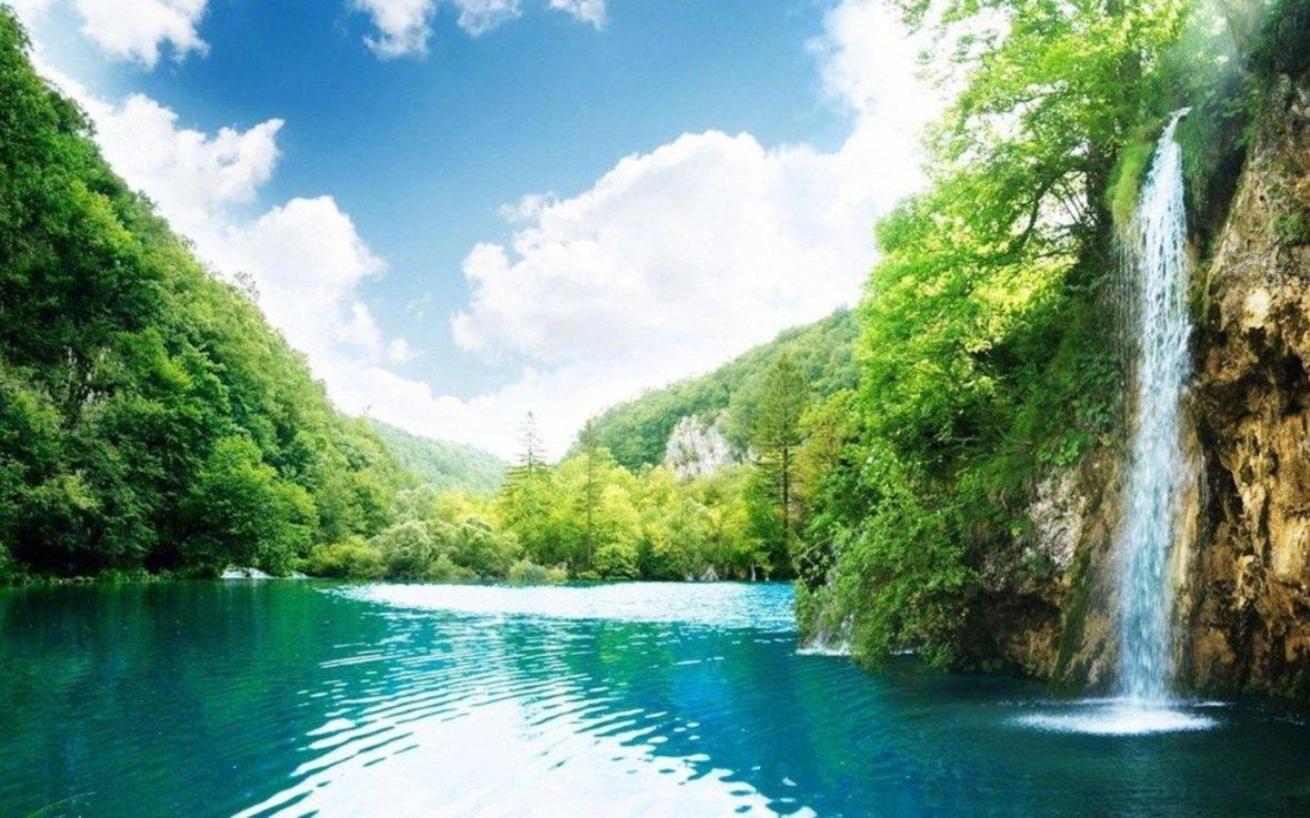 虫虫助手下载