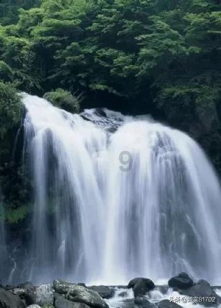 逃离黄金城堡