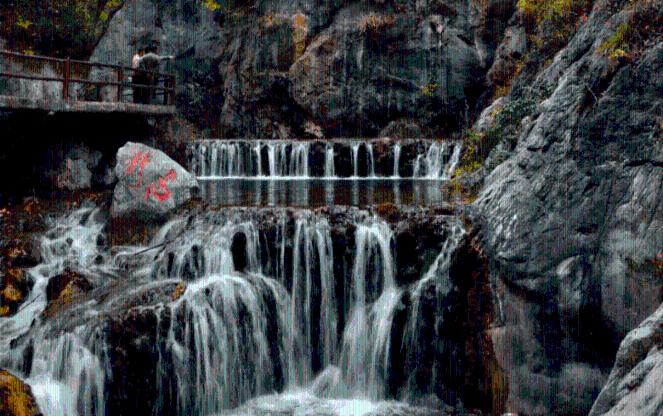 青海乌兰：“岩壁上的精灵”崇山峻岭中飞奔 如履平地