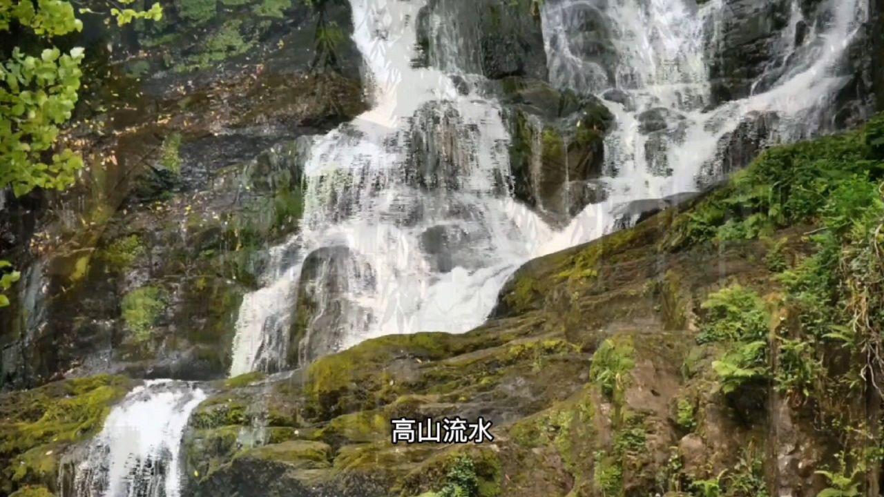 大团小团并驾混合型弹性供给是假期趋势