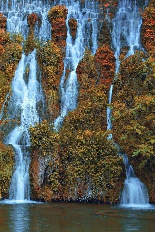 臭屁虫吃吃吃
