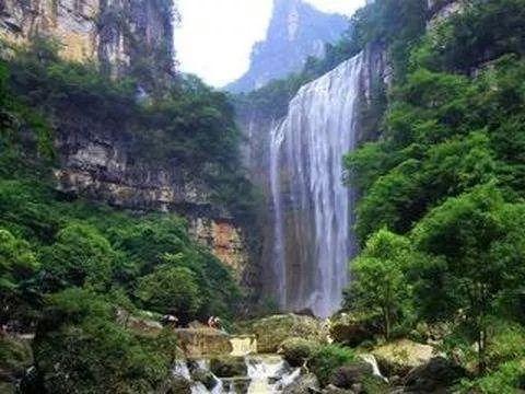 拯救小松鼠