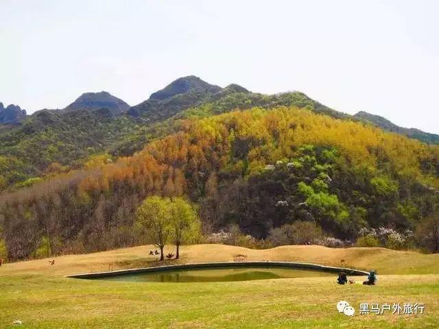 疯马牛牧场乐园│城市动物园规划设计三要素!