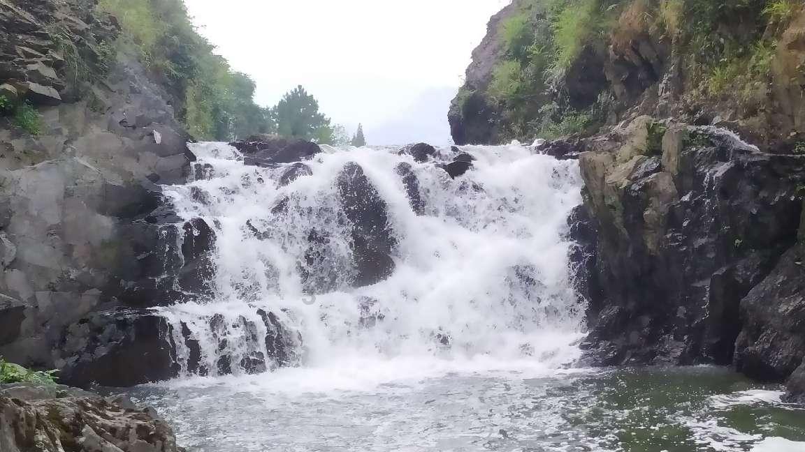 健美大赛