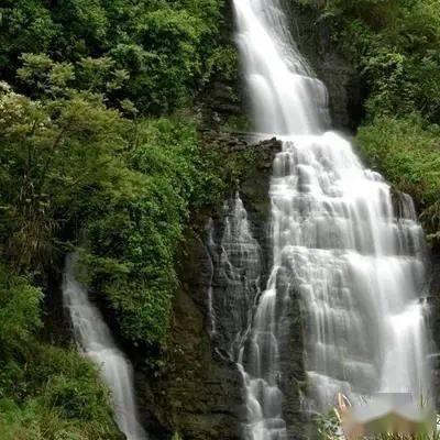夏季的雨