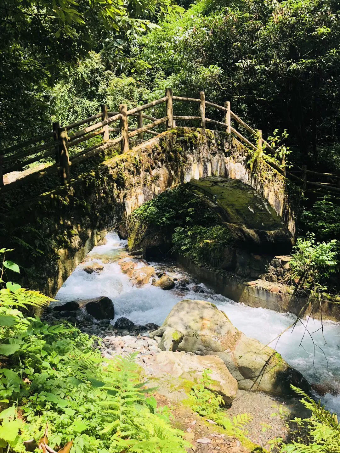 幽幽梦游记