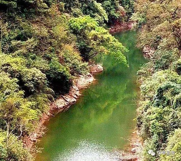 不朽星球