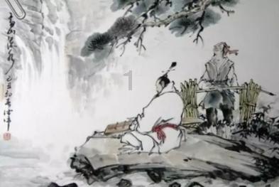 可怜猫的救援