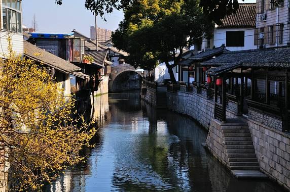 饿狮救援
