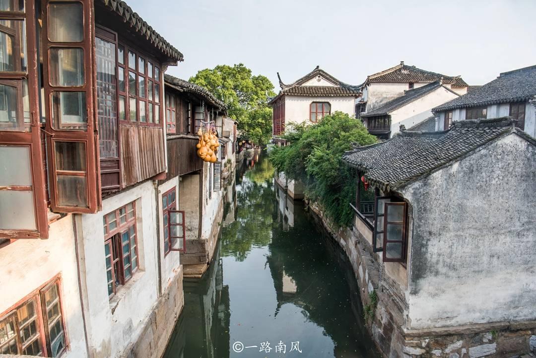 主人带4只金毛买菜,每个嘴里叼个篮子,主人出够了风头!