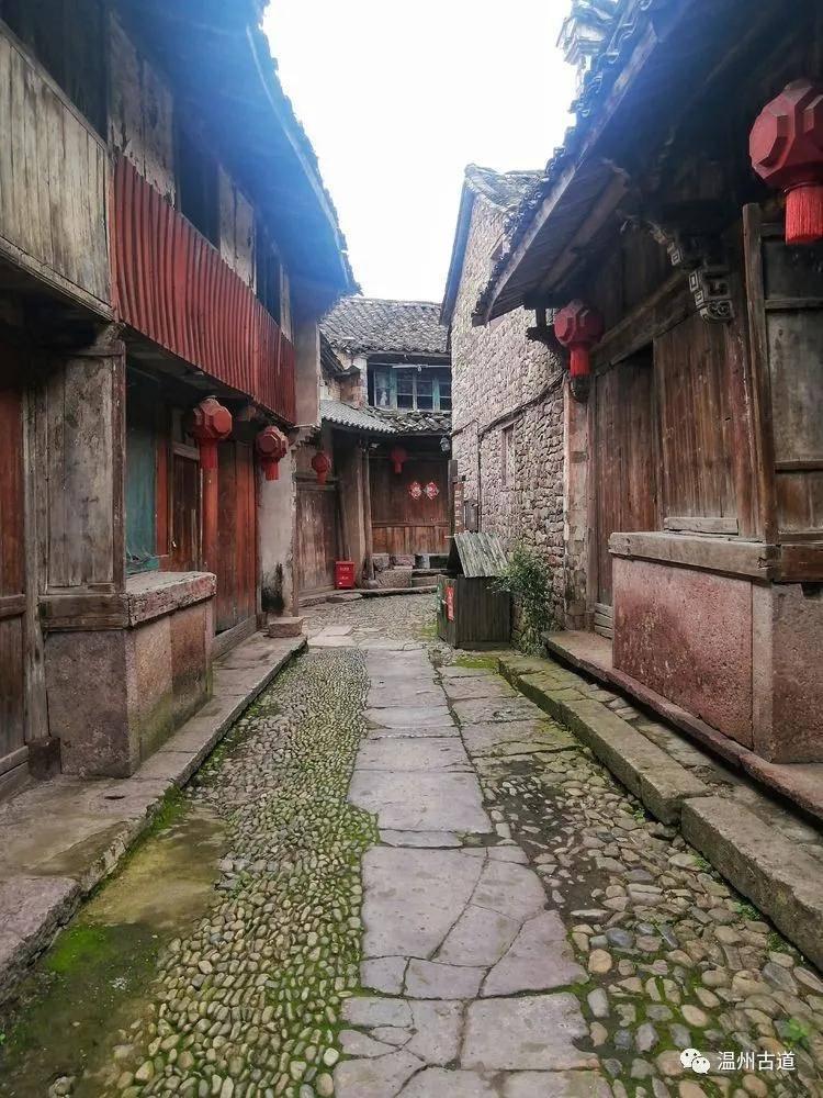 御龙在天