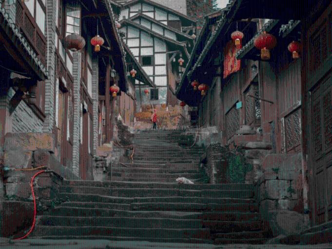 救援有趣的狮子